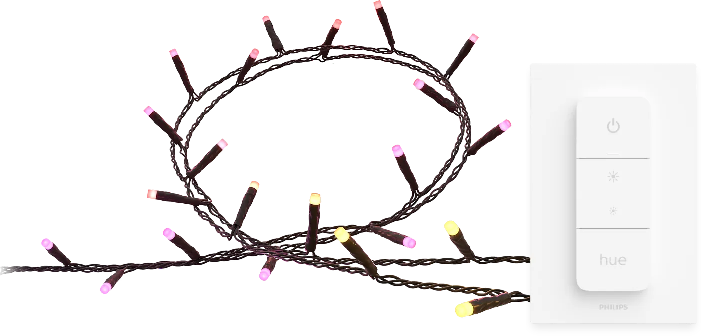 Philips Hue Festavia Lichtsnoer - 40 meter - 500 LEDs + Philips Hue Dimmer